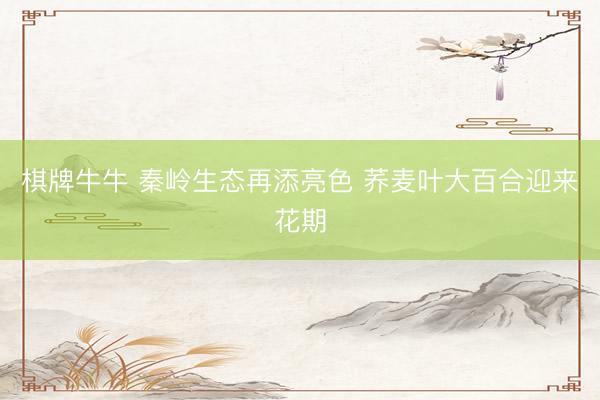 棋牌牛牛 秦岭生态再添亮色 荞麦叶大百合迎来花期