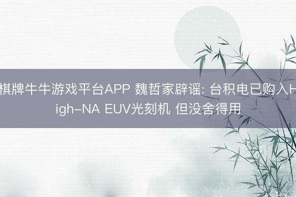 棋牌牛牛游戏平台APP 魏哲家辟谣: 台积电已购入High-NA EUV光刻机 但没舍得用