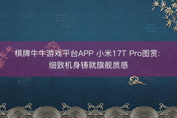 棋牌牛牛游戏平台APP 小米17T Pro图赏: 细致机身铸就旗舰质感